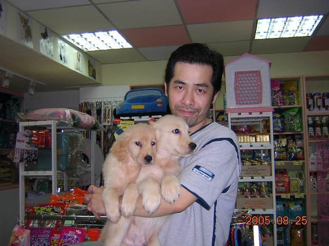 陈道明的第六张照片--九龙认干亲服务网